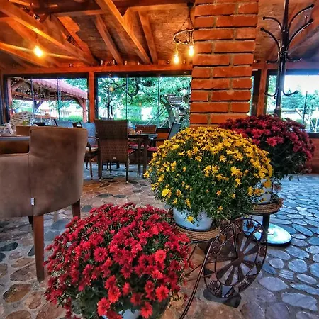 Cherry Struga